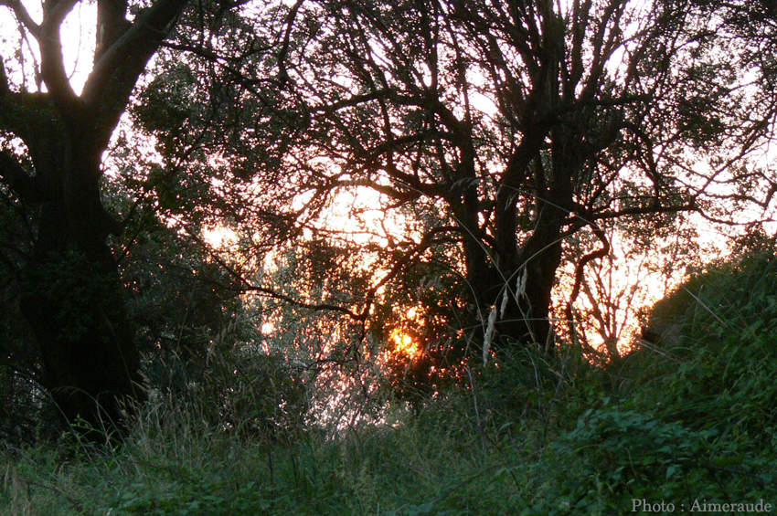 ob_c73550_coucher4