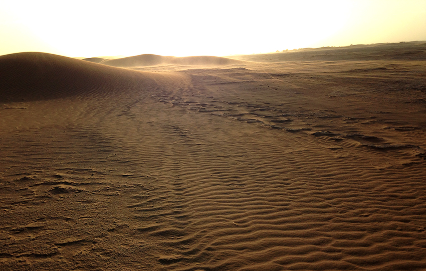 voyage dans le desert