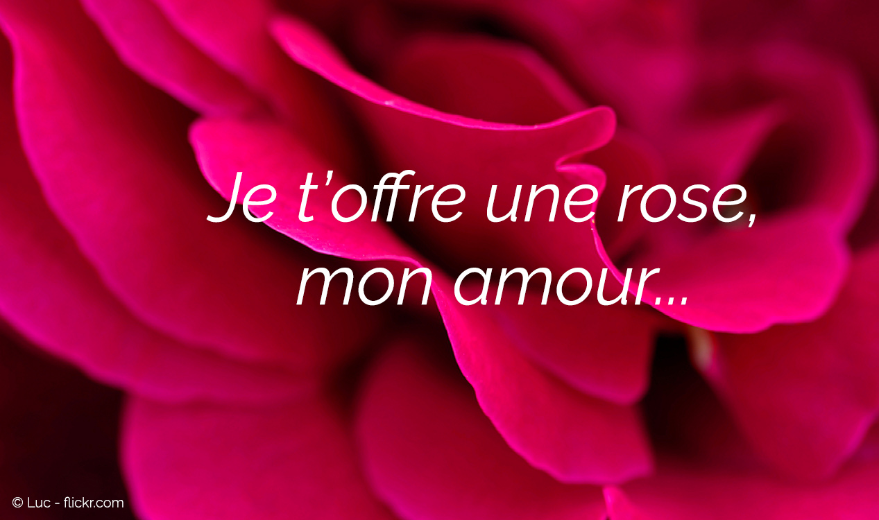 trouver l'amour