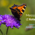Message d’amour pour la Saint-Valentin