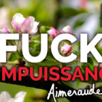 Fuck you impuissance !