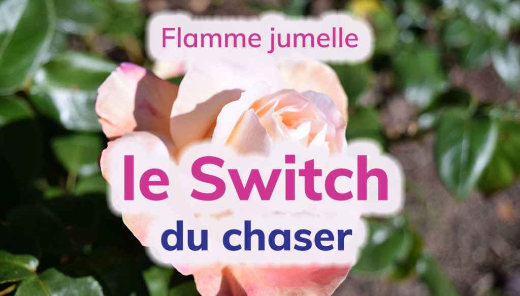 Flamme jumelle : le switch