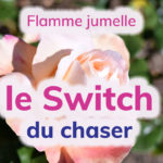 [VIDÉO] Flamme jumelle : qu’est-ce que le switch et quand arrive-t’il ?