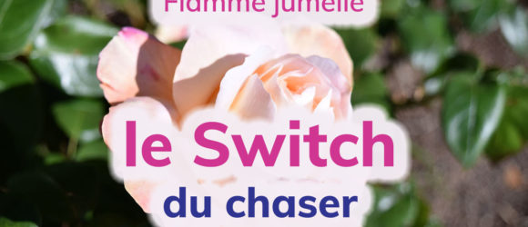 Flamme jumelle : le switch