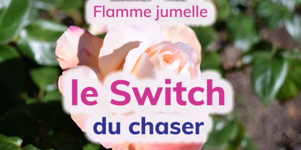Flamme jumelle : le switch