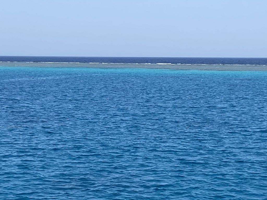 nager avec les dauphins en egypte baie de sataya